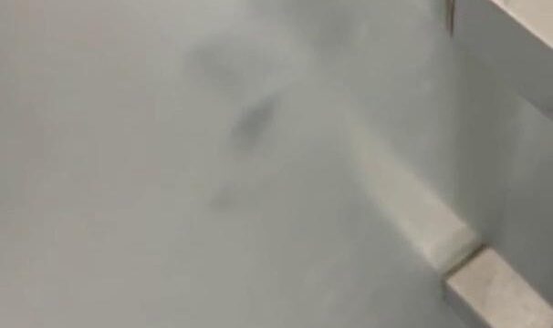 Amber Ajami Shower Sex Tape Video Leaked